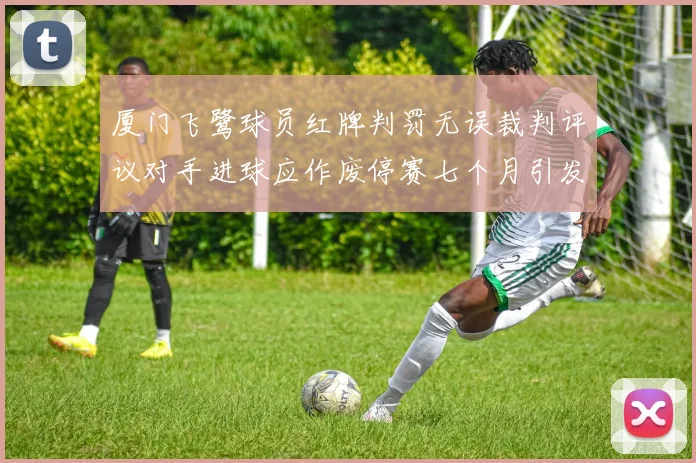 厦门飞鹭球员红牌判罚无误裁判评议对手进球应作废停赛七个月引发热议
