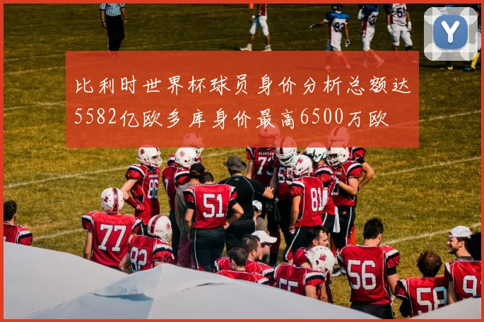 比利时世界杯球员身价分析总额达5582亿欧多库身价最高6500万欧